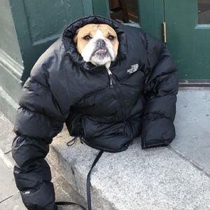 Meet your Posher, Kaylee